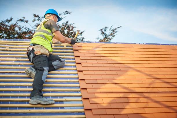 Best Chimney Flashing Repair  in Mccook, NE